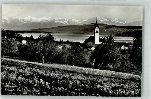 5707 Seengen Foto AK Hallwilersee