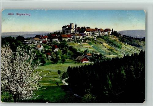 8158 Regensberg 1913 - Feldpost Nachdientskurs 5. Div.