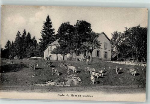 1446 Baulmes - Chalet du Mont Kühe