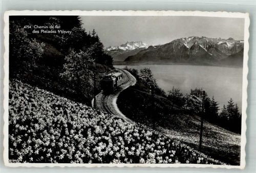 1800 Vevey Foto AK Bergbahn Schmalspurbahn Les Pléiades