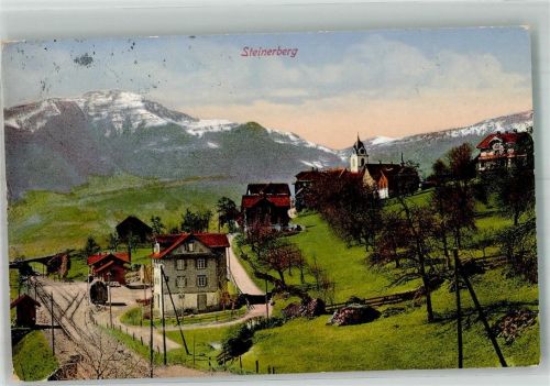 6416 Steinerberg 1914 Foto AK Bahnhof