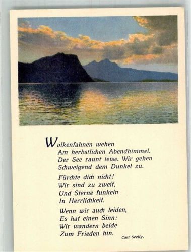 6363 Bürgenstock Foto AK Vierwaldstättersee