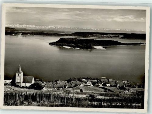 2514 Ligerz Gléresse - St Petersinsel Fliegeraufnahme