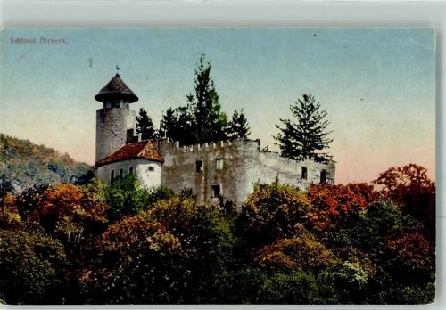 Birseck Ruine Foto AK Schloss