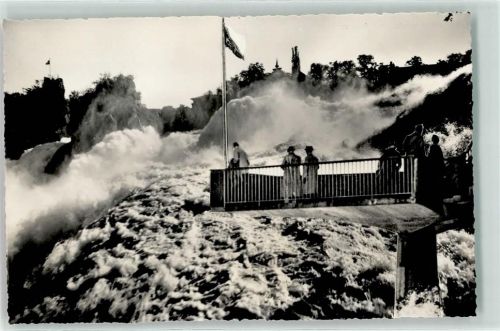 8212 Neuhausen am Rheinfall - Fischetz