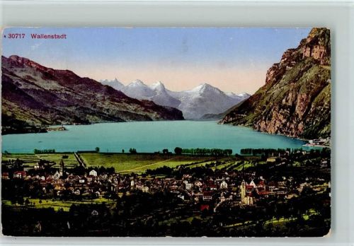 8880 Walenstadt - Gesamtansicht Wallensee