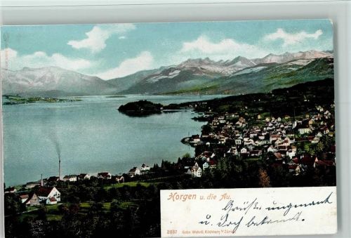 8810 Horgen 1902 - Panoramaansicht Zürichsee Alpen