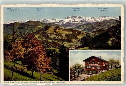 8497 Fischenthal - Blick vom Berggasthaus Hörnlikulm ins Tösstal und die Alpen