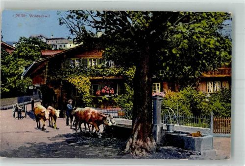 3812 Wilderswil 1925 Foto AK Straßenszene Brunnen Kühe