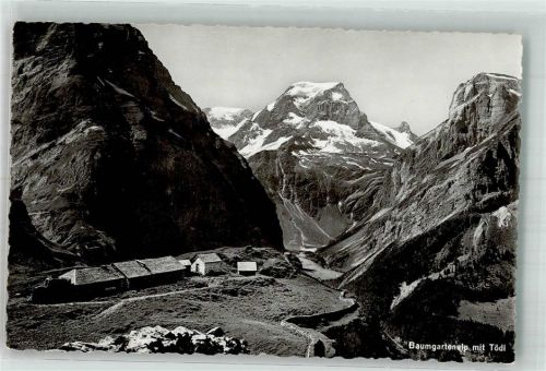 Tödi Foto AK Baumgartenalp mit Tödi