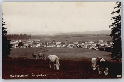 2350 Saignelégier - Gesamtansicht