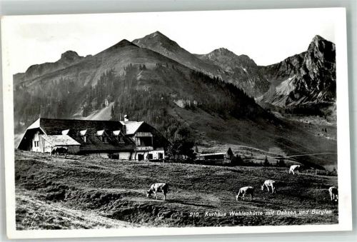 Gantrisch 1955 Foto AK Kurhaus Hotel Wahlenhütte