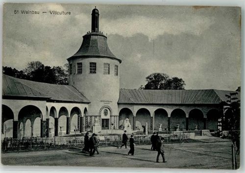 3000 Bern Berne - Landesausstellung 1914 Nr. 51 Weinbau