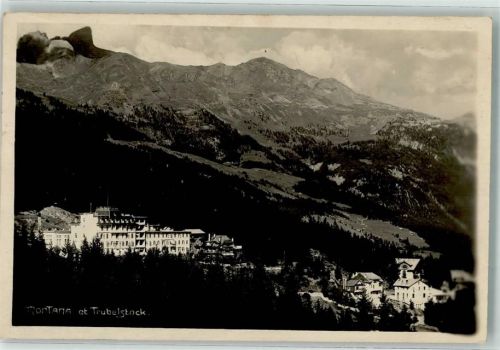 3963 Montana - Trubelstock