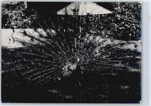 5106 Veltheim AG - Foto ca. 13x18 cm