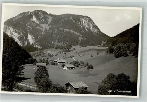 3770 Zweisimmen Foto AK Zwischenfluh