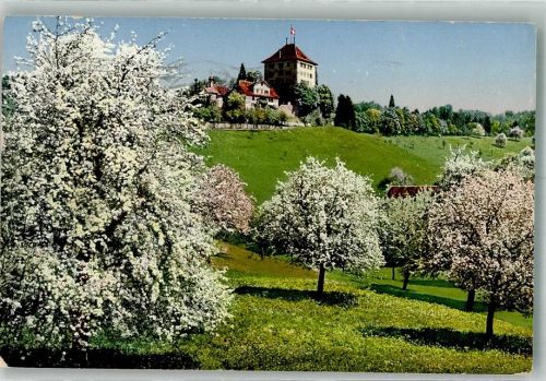 6284 Gelfingen 1917 Foto AK Schloss Heidegg