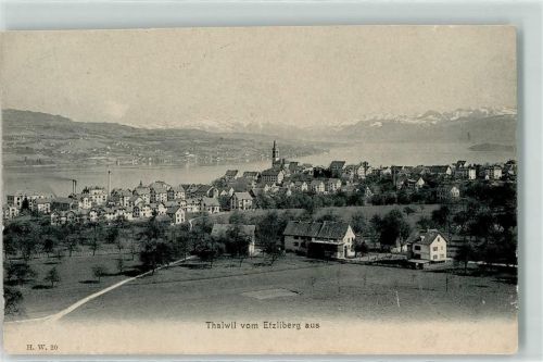 8800 Thalwil 1904 - vom Etzliberg aus