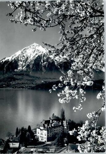 3654 Gunten - Thunersee, Niesen