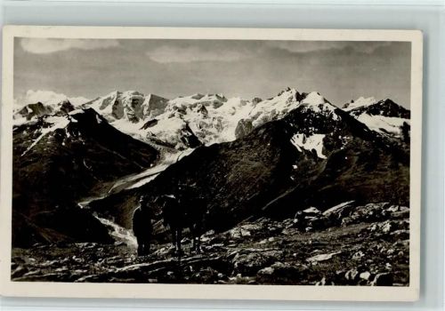 Schafberg - Berninagruppe vom obern Schafberg aus gesehen