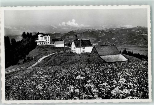 9413 Oberegg 1954 - Hotel Alpenhof Bahnpost Ambulant