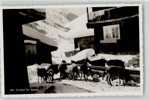 7188 Sedrun - Winter Ziegen