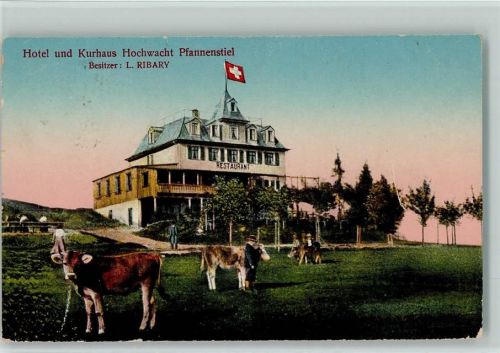 Pfannenstiel - Hotel Kurhaus Hochwacht Kühe