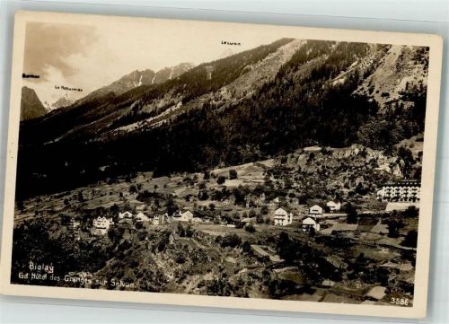 1922 Salvan 1931 Foto AK Hotel des Granges