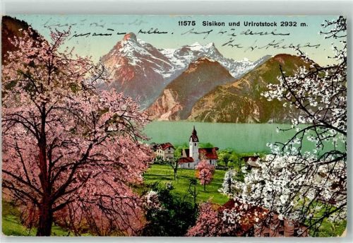 6452 Sisikon 1917 - Urirotstock Blühende Bäume Kirche