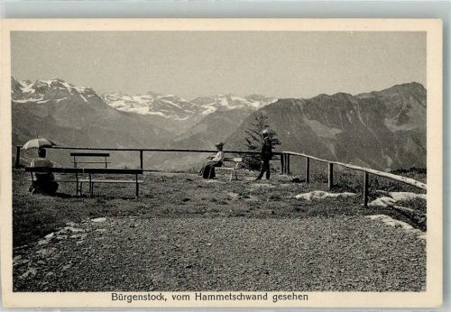 6363 Bürgenstock Foto AK Hammetschwand