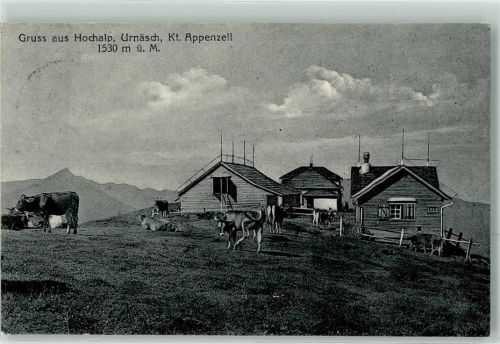 9107 Urnäsch - Hochalp Kühe