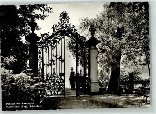 8265 Mammern Foto AK Parktor Kuranstalt Foto Gross