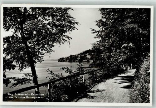 6362 Stansstad Foto AK Weg Stansstad-Kehrsiten