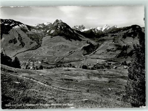 9655 Stein SG - Goggeien Mattstock Speer