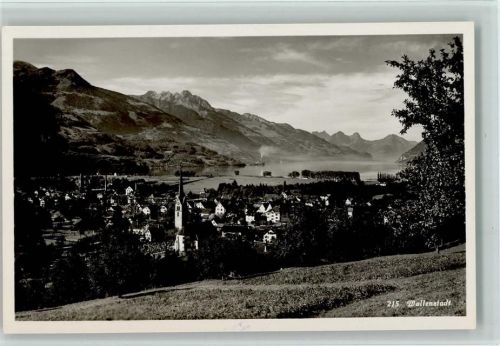 8880 Walenstadt - Gesamtansicht