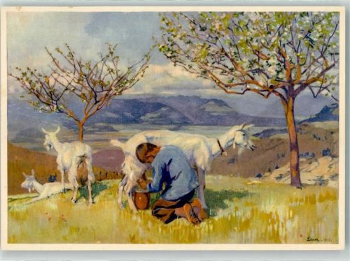 Meilen Blick ins Rheintal Junge am Ziege melken sign. C Liner Ort lt. Fotograf Pro Juventute Schweiz Künstlerkarte