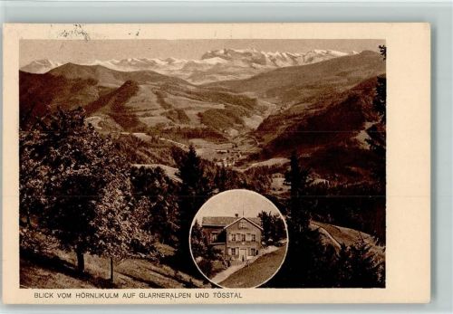 Hörnli ZH - Blick vom Hörnlikulm auf Glarneralpen und Tösstal Hüttenstempel
