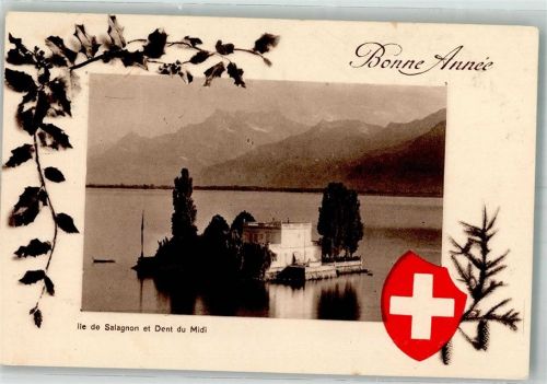 1815 Clarens 1920 Foto AK Ile de Salagnon Neujahr