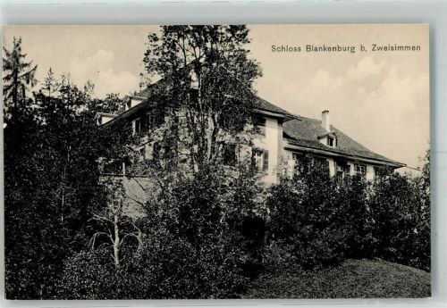 3770 Zweisimmen Foto AK Schloss Blankenburg