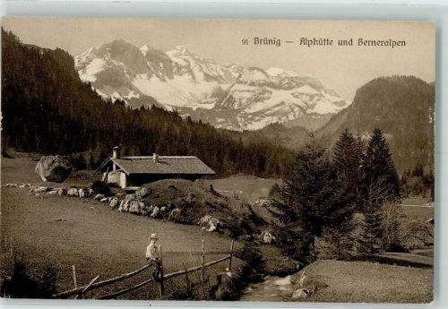 3860 Brünig 1915 - Alphütte und Berneralpen