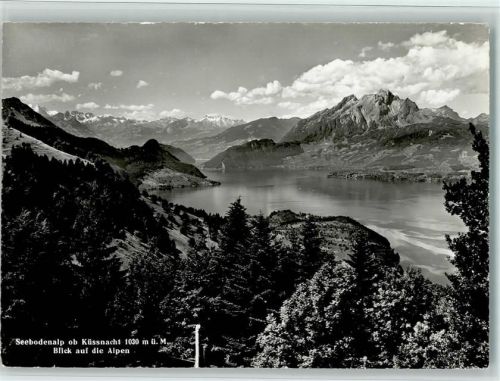 6403 Küssnacht am Rigi - Seebodenalp Blick auf die Alpen