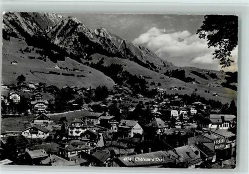 1660 Château-d´Oex - Ortsansicht