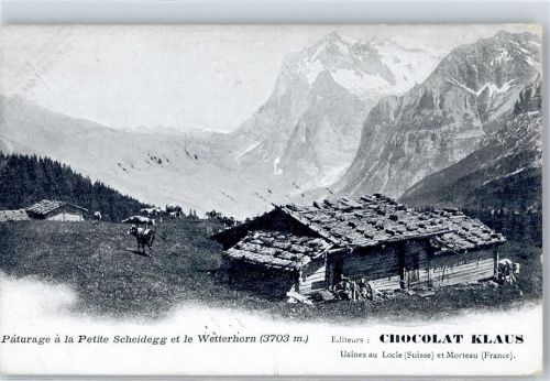 Scheidegg - Wetterhorn Rinder Schutzhütte