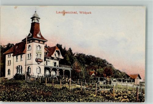 4900 Langenthal 1908 Foto AK Wildpark
