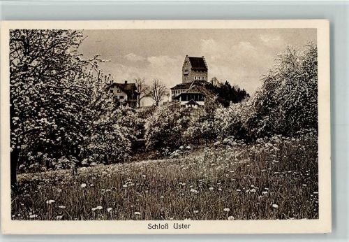 8610 Uster 1921 - Schloss blühende Bäume