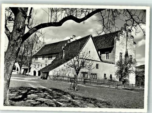 8608 Bubikon Foto AK Ritterhaus Johannitermuseum Foto Honegger