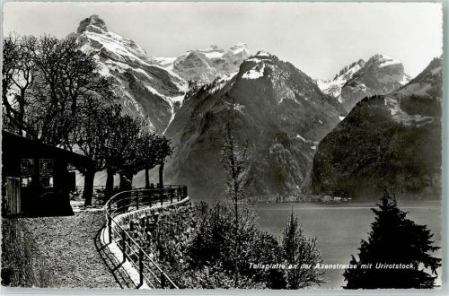 Axen - Tellsplatte an der Axentraße mit Urirotstock