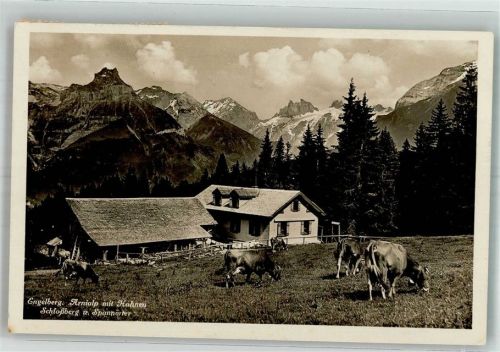 6390 Engelberg 1931 Foto AK Arnialp