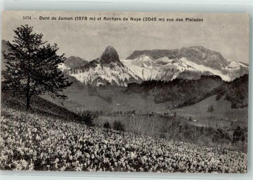 Dent de Jaman - Rochers de Naye
