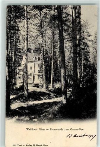 Waldhaus 1907 Gebrauchsspuren Promenade zum Cauma See